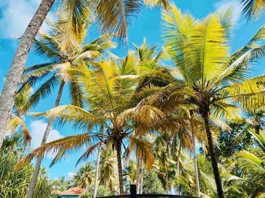 Palm House - Luxury Villa - Samana - Ocean Front Sánchez Exterior foto