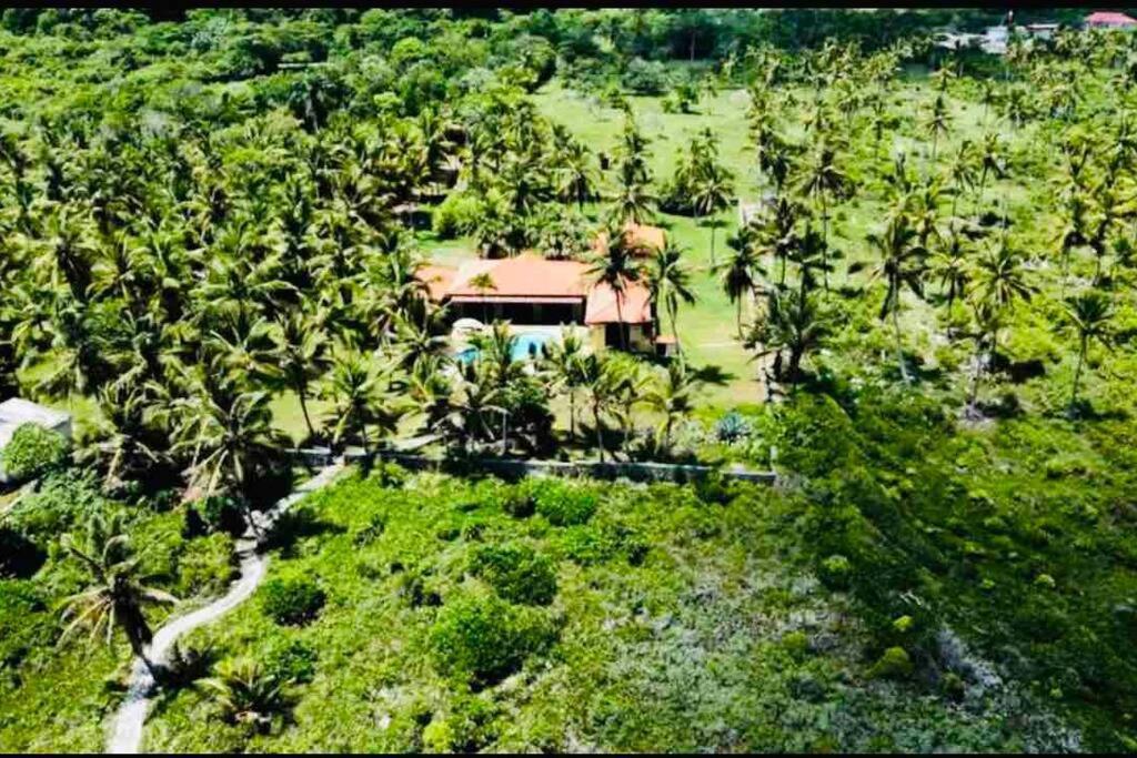 Palm House - Luxury Villa - Samana - Ocean Front Sánchez Exterior foto