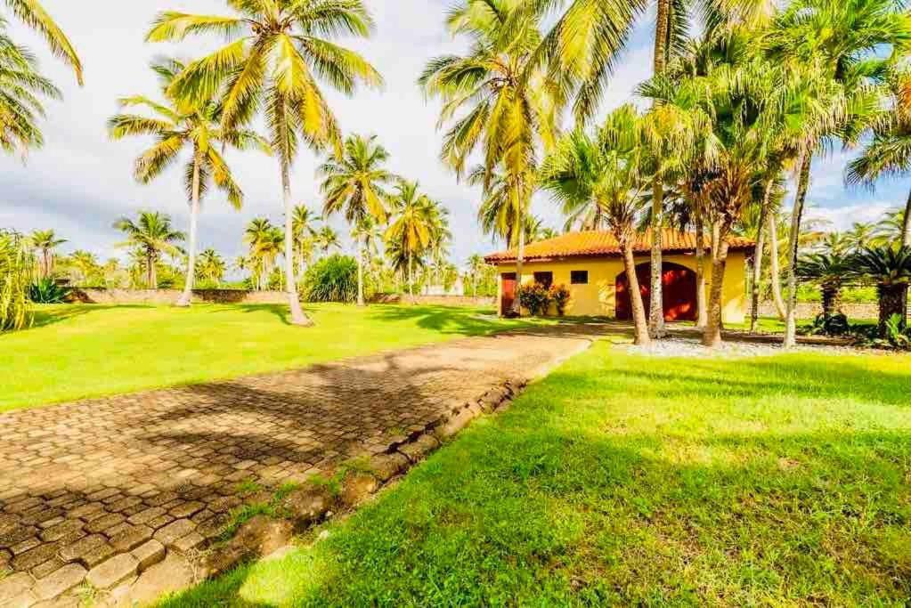 Palm House - Luxury Villa - Samana - Ocean Front Sánchez Exterior foto