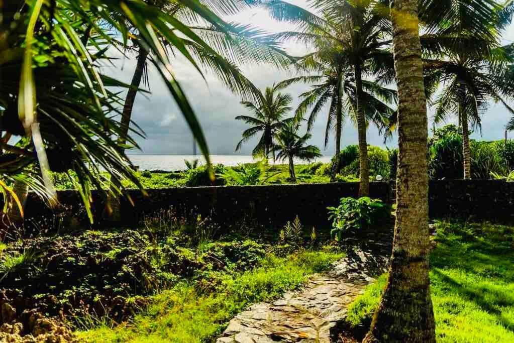 Palm House - Luxury Villa - Samana - Ocean Front Sánchez Exterior foto