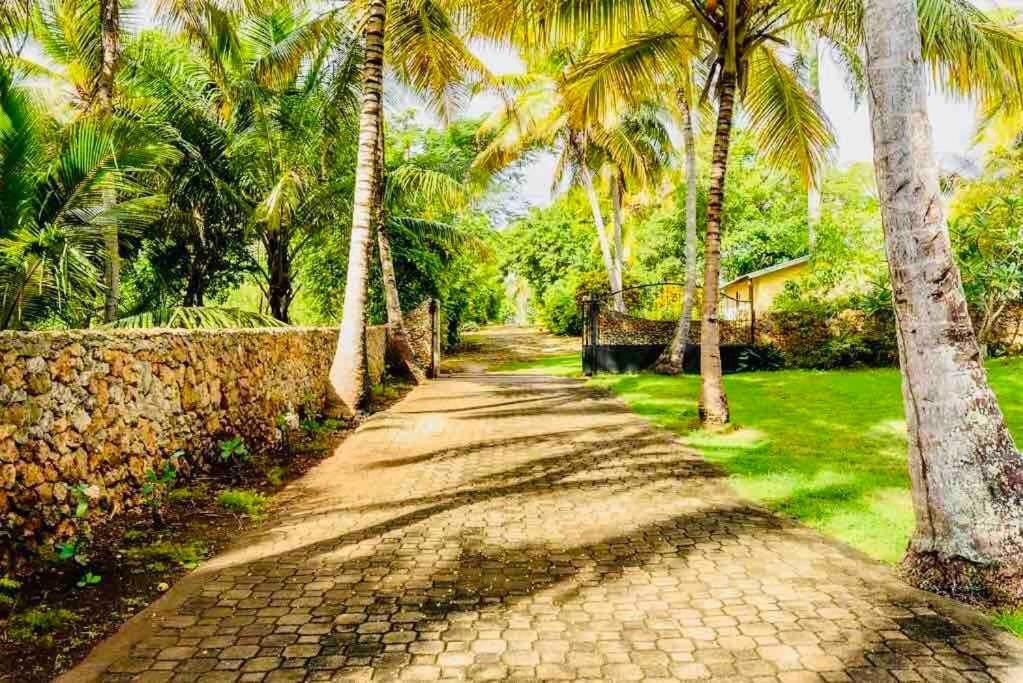 Palm House - Luxury Villa - Samana - Ocean Front Sánchez Exterior foto