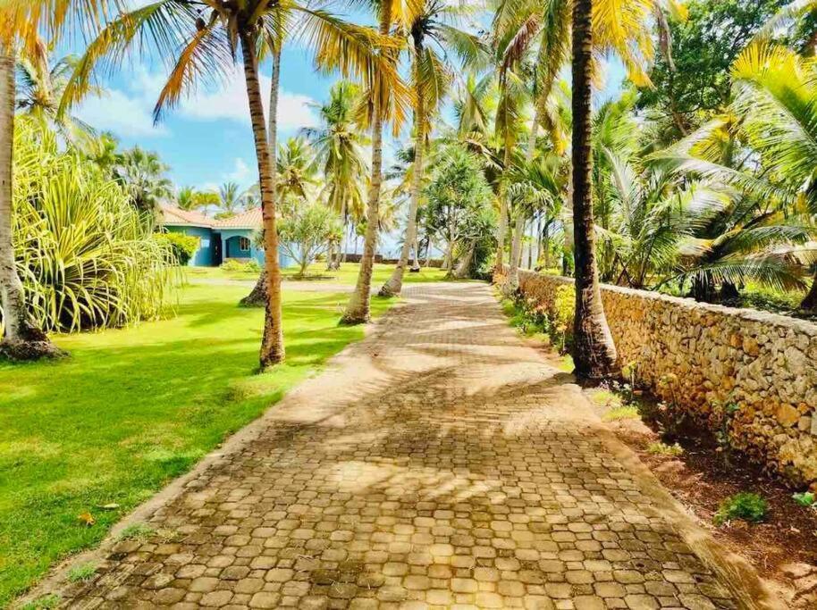 Palm House - Luxury Villa - Samana - Ocean Front Sánchez Exterior foto