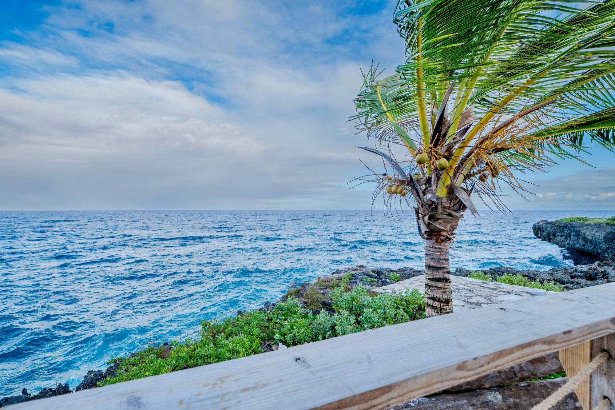 Palm House - Luxury Villa - Samana - Ocean Front Sánchez Exterior foto