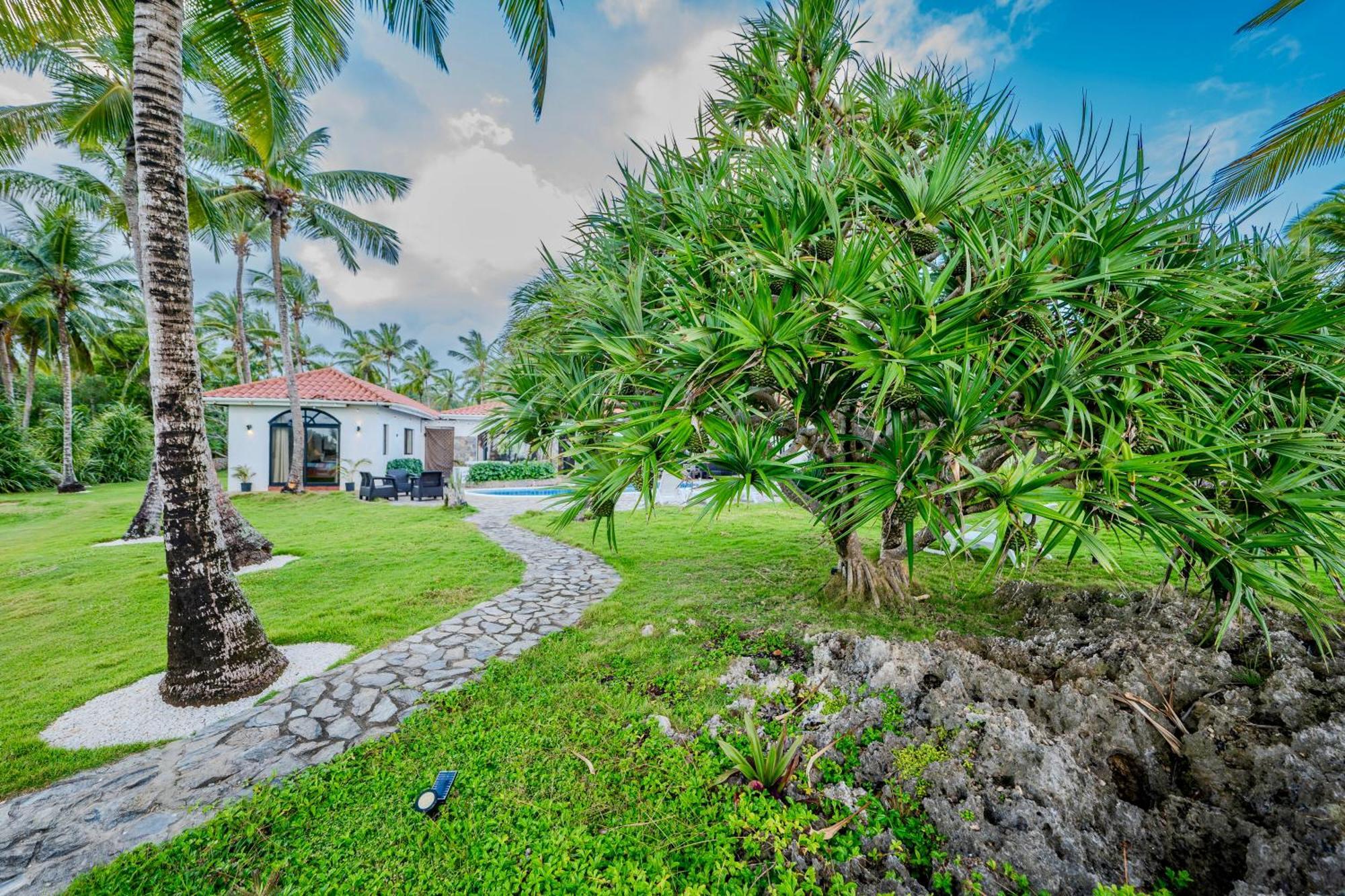 Palm House - Luxury Villa - Samana - Ocean Front Sánchez Exterior foto